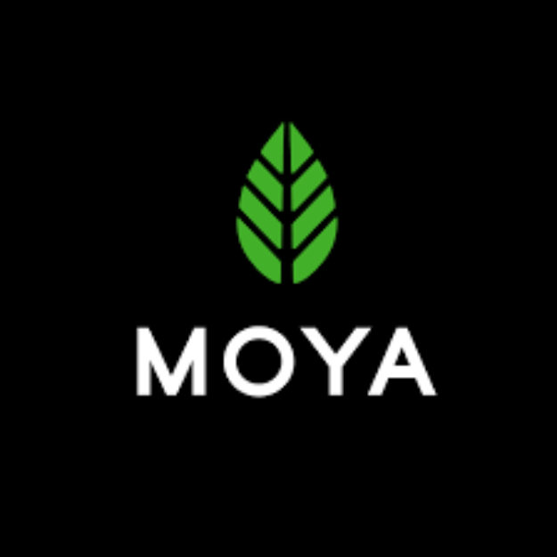 Moya Matcha